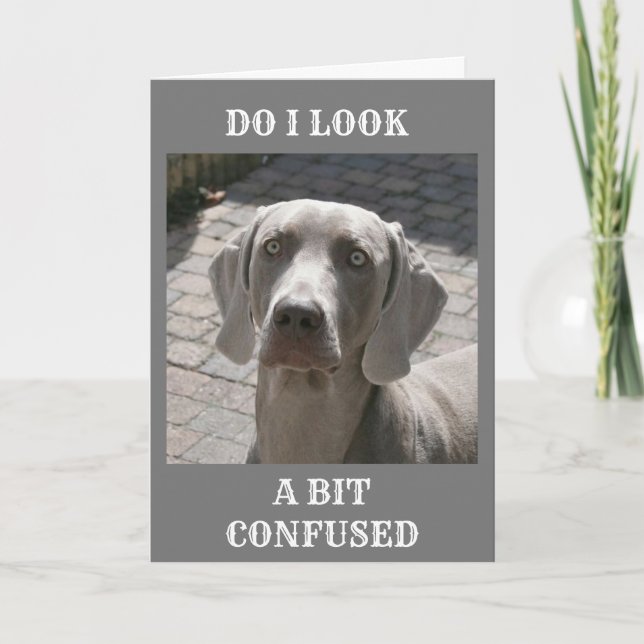 "50" HOW CAN IT BE SAYS WEIMARANER CARD (Front)
