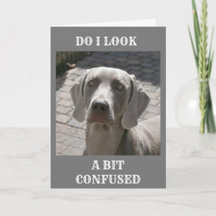 "50" HOW CAN IT BE SAYS WEIMARANER CARD