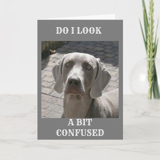 "50" HOW CAN IT BE SAYS WEIMARANER CARD (Front)