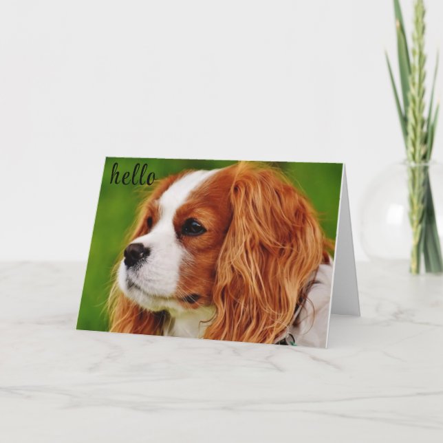 **50** HOW DOES IT FEEL BIRTHDAY HUMOR CARD (Front)