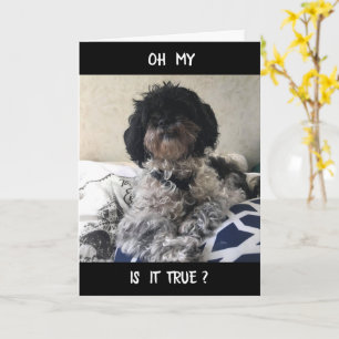 **50** LOOKS GREAT ON YOU! HAPPY BIRTHDAY CARD