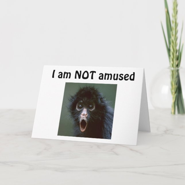 **50?** YOU DON'T LOOK A DAY OVER 49??? BIRTHDAY CARD (Front)