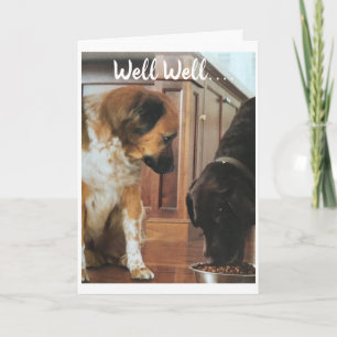 **50th BIRTHDAY** HUMOR FROM THE DOGS! Card