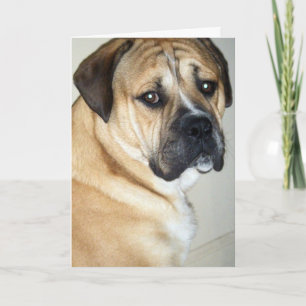 50TH-BUT STILL THE TOP DOG CARD