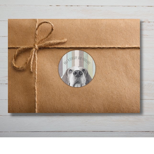 50th Half a Century and Fabulous Birthday  Classic Round Sticker ("Half a Century and Fabulous"!
This collection is perfect for your next 50th birthday celebration!)