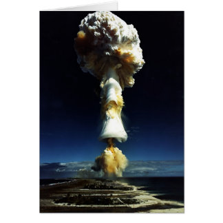 511234695_c69bff71e9_b