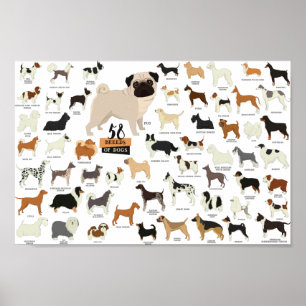 52 Breeds Of Dogs Poster