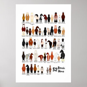 52 horse breeds chart