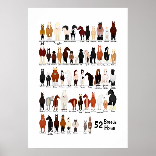 52 horse breeds chart (Front)