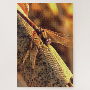 534424932Elegant Red Darter Dragonfly Insect Art Jigsaw Puzzle
