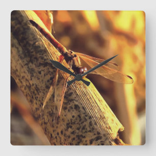 534424932Elegant Red Darter Dragonfly Insect Art Square Wall Clock
