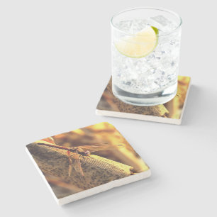534424932Elegant Red Darter Dragonfly Insect Art Stone Coaster