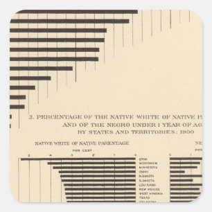 53 Negro population by states Native white Square Sticker