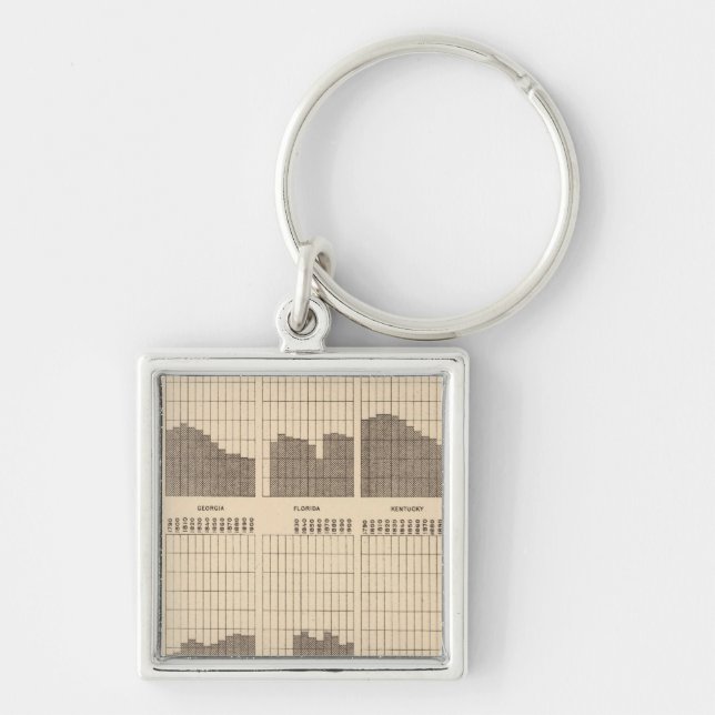 54 White, Negro population, states, ea census Key Ring (Front)