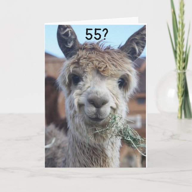 **55** I JUST CAN'T BELIEVE IT SAYS LLAMA CARD (Front)
