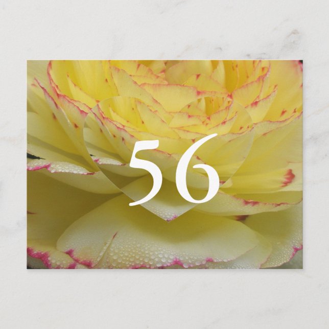 56th Birthday Postcard (Front)