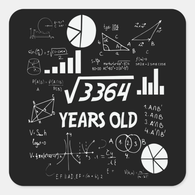 58 Years Old Bday Math Teacher 58th Birthday Gift Square Sticker (Front)