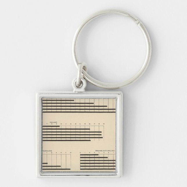 59 Leading nationality 1850-1900 Key Ring (Front)