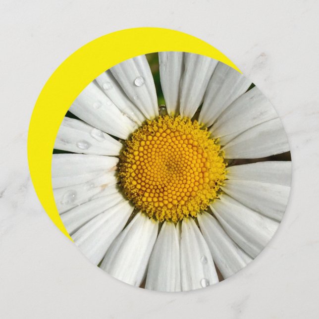 5.25 x 5.25 Invitation Circle (Front/Back)