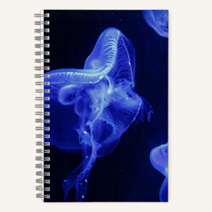 5.5" x 8.5" Spiral Noteboook Notebook