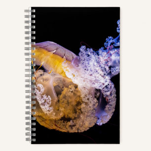 5.5" x 8.5" Spiral Noteboook Notebook