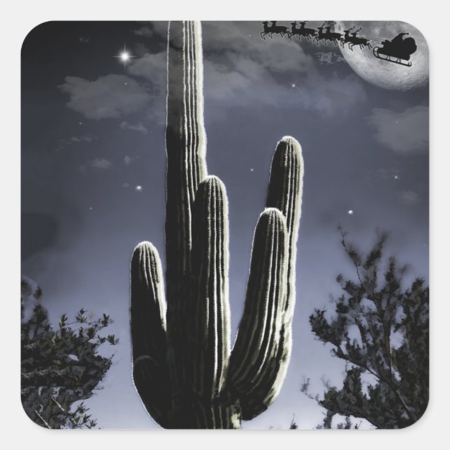 5 Armed Desert Saguaro in the Moonlight Square Sticker (Front)