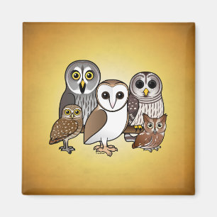 5 Birdorable Owls Magnet