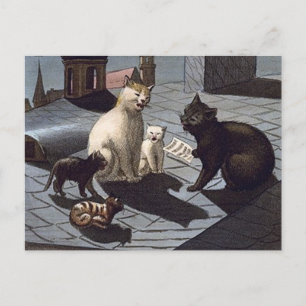 5 Cats with music sheet singing on a roof at night Postcard
