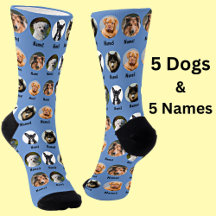 5 Dogs, 5 Names, Dog Photo - Personalised Blue 