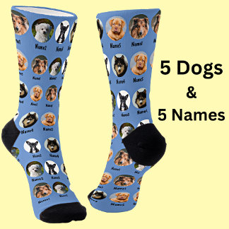 5 Dogs, 5 Names, Dog Photo - Personalised Blue  Socks