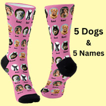 5 Dogs, 5 Names, Dog Photo - Personalised Pink