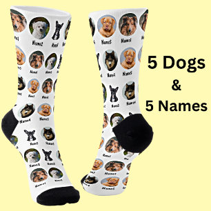 5 Dogs, 5 Names, Dog Photo - Personalised White Socks