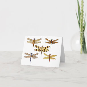 5 Dragonflies Card