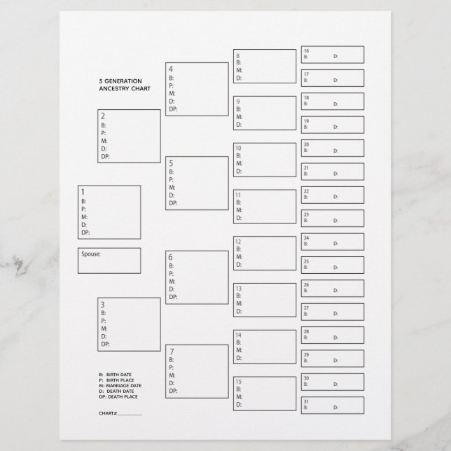 5 Generation Genealogy Pedigree Paper Sheet (Front)