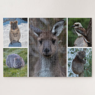 5-in-1 Animals of Australia, 1014 pieces Jigsaw Puzzle