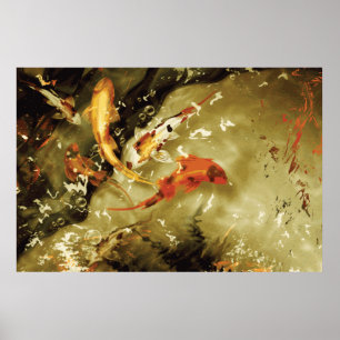 5 kois in a pond - Giant Koi Poster