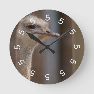 5 o'clock Ostrich Wall Clock