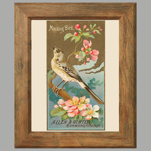 5 of 8, Set of 8 Audubon Lithograph Gallery Wall Poster
