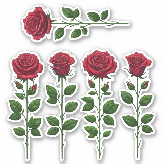 5 Roses (bright) (Front)