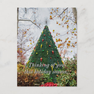 5 Story SDC Tree Thinking Of You Postard Postcard