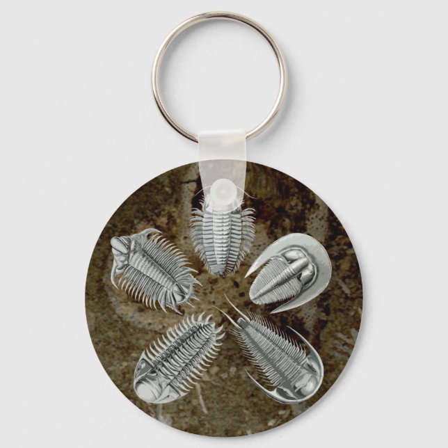 5 Trilobites Keychain (Front)