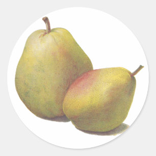 5 vintage pears illustrated classic round sticker