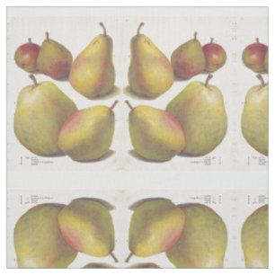 5 vintage pears illustrated fabric