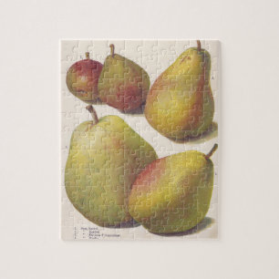 5 vintage pears illustrated jigsaw puzzle