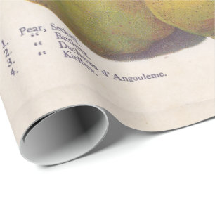 5 vintage pears illustrated wrapping paper