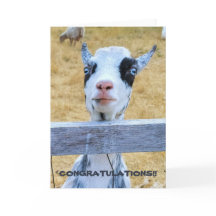 5"x7" Folded Card || Congratulations Goat