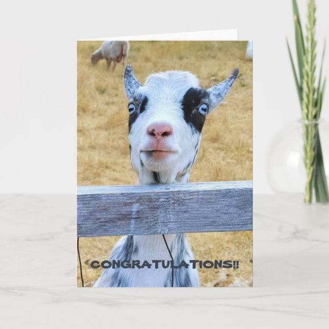 5"x7" Folded Card || Congratulations Goat (Front)