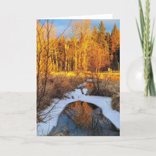 5"x7" Folded Card    Creek Reflection 2