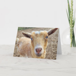 5"x7" Folded Card-h || Ginger Thank You Card