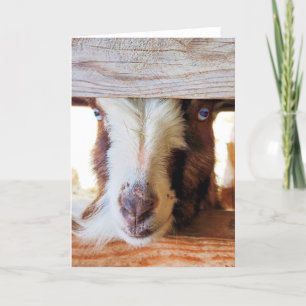 5"x7" Folded Card    Jigsaw Guilt Trip